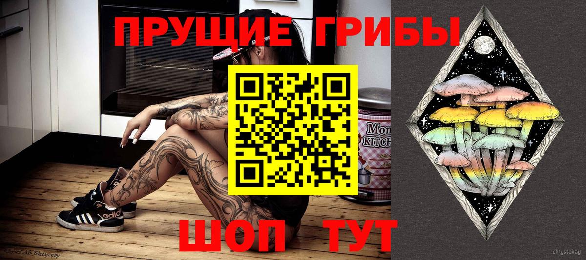 Псилоцибиновые грибы ЛСД Майкоп
